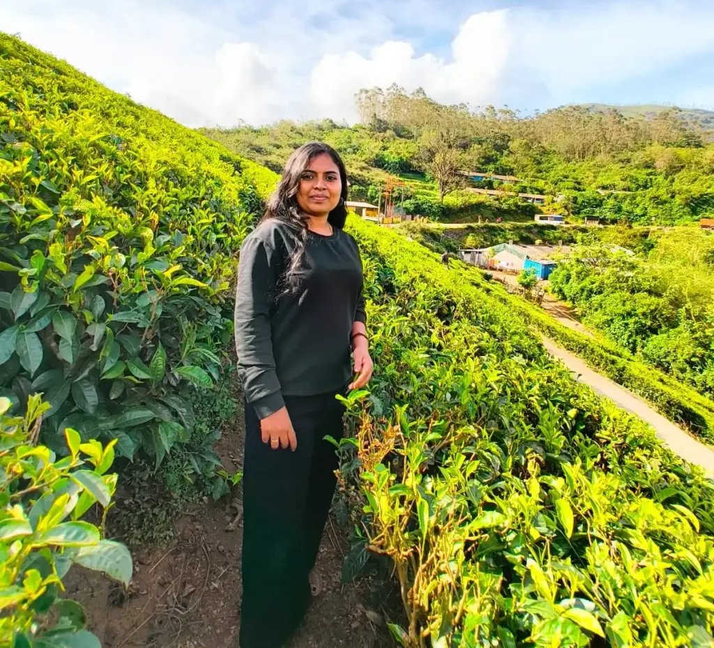 Best Freelance Digital Marketer in Kerala providing digital marketing services.